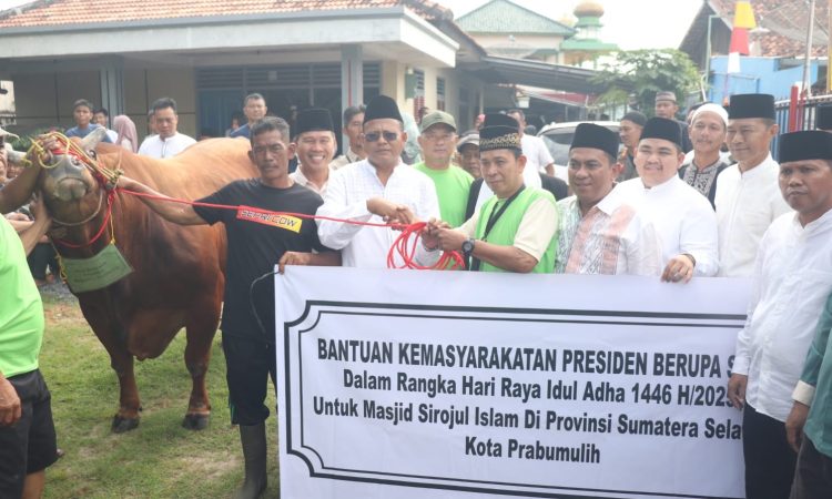 41871d33-ef83-4731-9c9f-cf0445672ff5