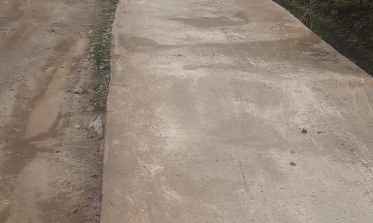 1000801291